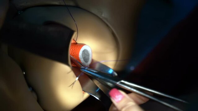 Practice of students of gynecological surgeons