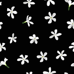 Small white flowers on black background, seamless vector pattern
