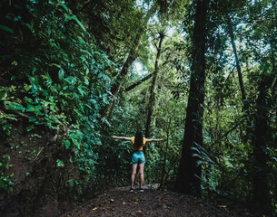 woman walking in the middle of the jungle