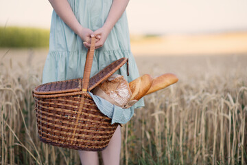 Girl holding picnic basket with freshly baked bread baguette in front of field wheat on sunset