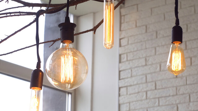 Close up for led light bulbs of different forms hanging on black wires from the ceiling in the room with white brick walls. Media. Beautiful retro light bulbs on tree branch, home decoration elements.