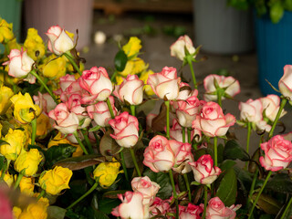 Fototapeta na wymiar bouquet of pink roses in greenhouse