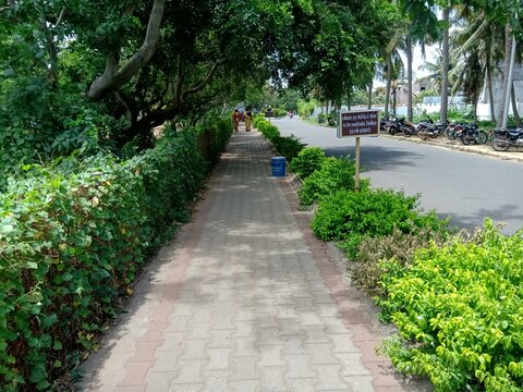 footpath in the park