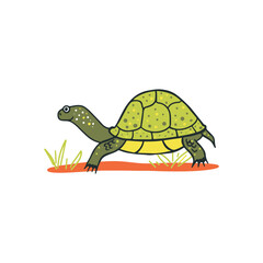 Hand drawn cute turtle drawing. Isolated vector design of reptile crawling. 