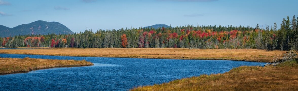 bass harbor marsh in autumn panorama