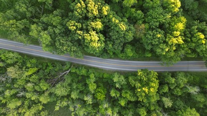 Drone image of winding road though heavy forest