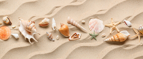 Many different sea shells on beach sand