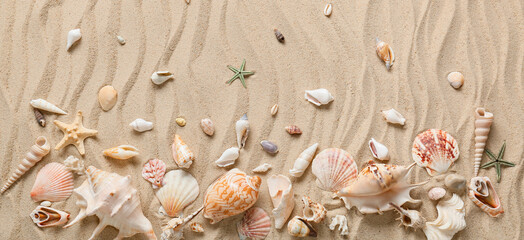 Many different sea shells on beach sand - Powered by Adobe