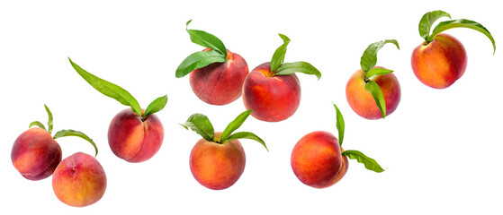 Flying ripe peaches on white background