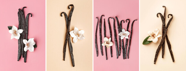 Set of vanilla sticks on color background, top view