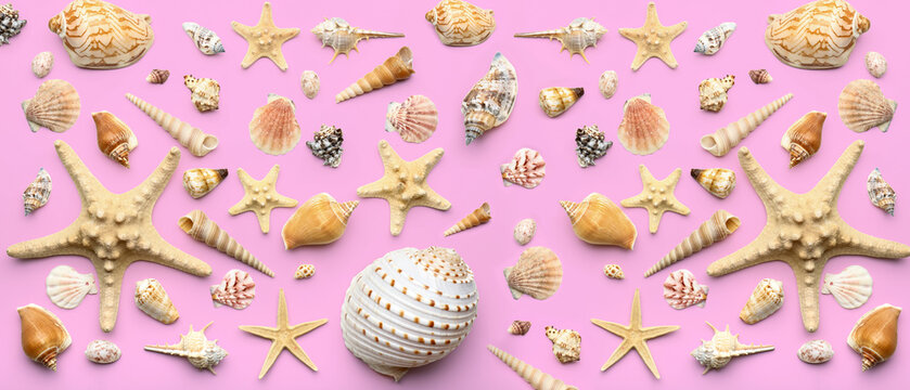 Many beautiful sea shells on pink background, top view. Pattern for design