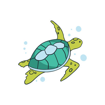 Hand drawn sea turtle illustration
