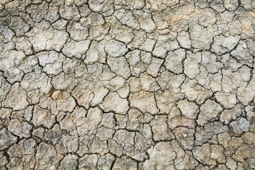 Texture cracked clay ground. Dry land in the desert without water
