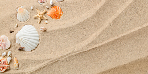 Different sea shells on beach sand, top view. Banner for design