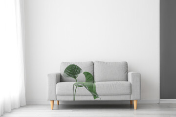 Comfortable sofa with print of monstera leaves in light room