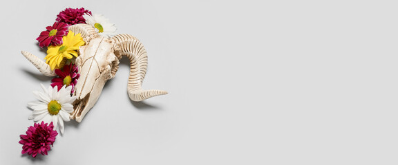 Skull of sheep and flowers on light background with space for text