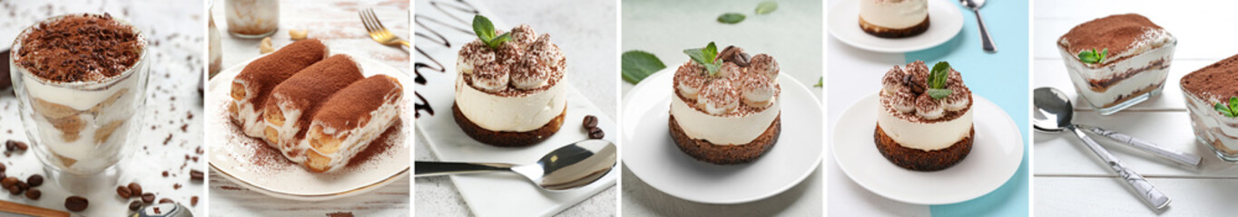 Collection of tasty tiramisu dessert on light table
