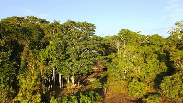 Aerial view moving away shot, Scenic view a log cabin in the amazon forest on a bright sunny day in Colombia, amazon river in the background.