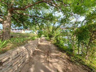 path in the park
