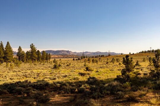 Dixie National Forest