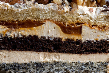 multi-layer cake with different layers, close up