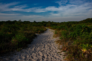 sand trail in the park