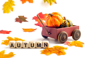 wooden cart with a pumpkin on a white background and and the word AUTUMN, collected of bone cubes.