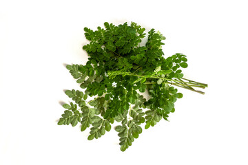 fresh moringa leaves isolated on a white background