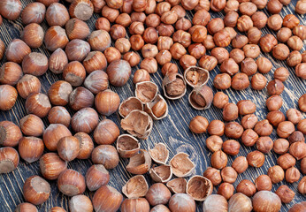 a pile of harvested hazelnuts on the table