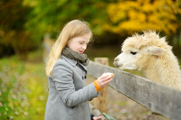 Cute young girl stroking an alpaca at a farm zoo on autumn day. Child feeding a llama on an animal farm. Kid at a petting zoo at fall. © MNStudio