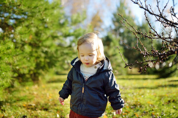 Funny toddler boy having fun outdoors on sunny autumn day. Child exploring nature. Autumn activities for small kids.