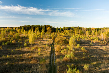 Aerial view of autumn forest with green and yellow trees. Beautiful fall scenery near Vilnius city, Lithuania