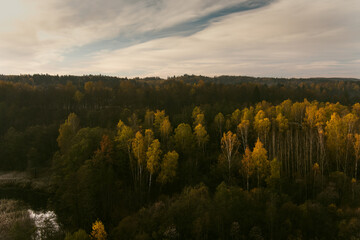 Aerial view of autumn forest with green and yellow trees. Beautiful fall scenery near Vilnius city, Lithuania