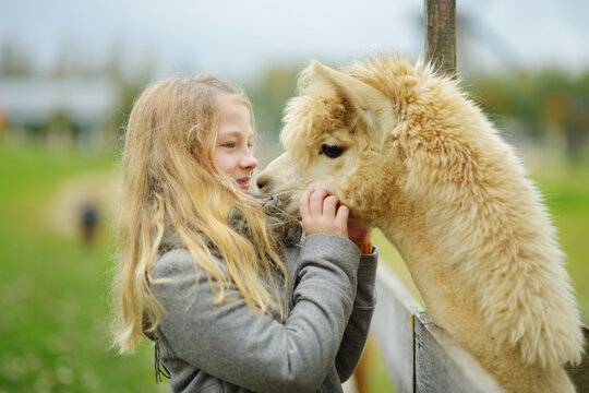 Cute young girl stroking an alpaca at a farm zoo on autumn day. Child feeding a llama on an animal farm. Kid at a petting zoo at fall.