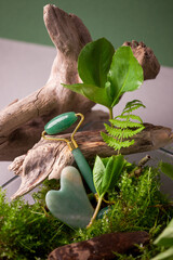 Green jade roller and gua sha stone for facial massage and fresh moss fern natural background. Organic natural beauty and selfcare accessories. Face roller for anti age wrinkle treatment. Eco-friendly