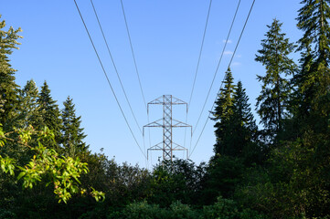 Power transmission lines and self-supporting tower through woods in warm evening light against a blue sky

