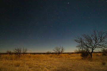 Marfa Lights nightscape