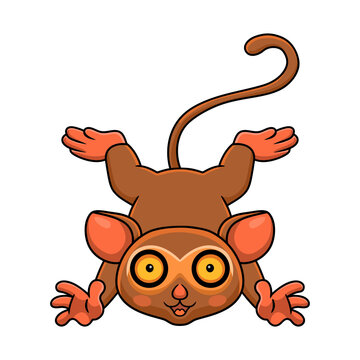 Cute Little Tarsier Cartoon Posing