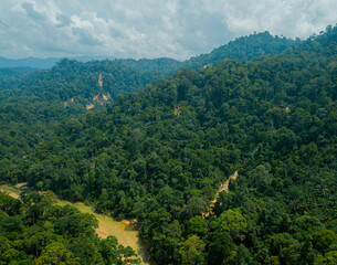 Aerial drone view of forest scenery in Hutan Lipur Belukar Bukit, Kuala Berang, Terengganu, Malaysia.