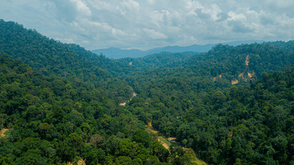 Aerial drone view of forest scenery in Hutan Lipur Belukar Bukit, Kuala Berang, Terengganu, Malaysia.