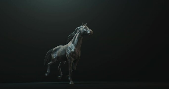 Dark stallion rearing up against black background with side light on body, horse seamless loop animation
