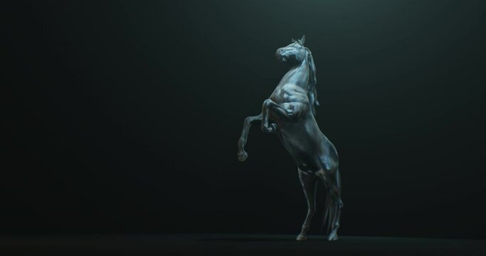 Dark stallion rearing up against black background with side light on body, horse seamless loop animation