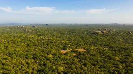 Rocks in the tropical jungle of Kumana National Park. Sri Lanka.