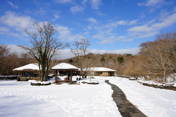 huts in snowy forest