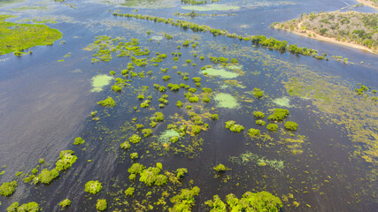 Tropical landscape: Lakes and swamps in the national park among tropical vegetation. Sri Lanka.