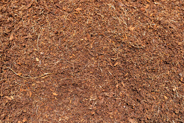 Closeup of cocopeat or coco peat texture background
