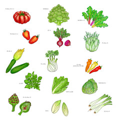 食材～イタリアンベジタブル～