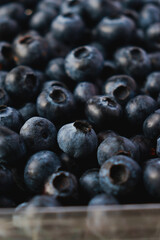 close up of blueberries, background