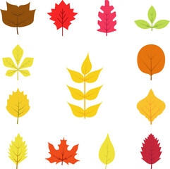 Fototapeta premium Autumn leave, yellow icon in a collection with other items