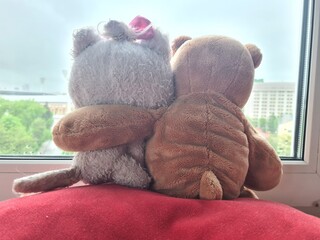 Best friends teddy bear and cat are sitting on windowsill hugging each other and looking out window